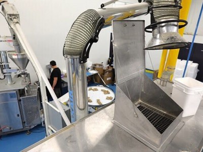 American Nutrition Manufacturer Purchase GMP standard ribbon blender