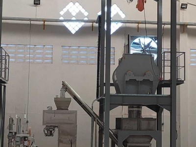 Indonesia customer purchased 2000L Twin Shaft Paddle mixer and 1500L Ribbon Mixer